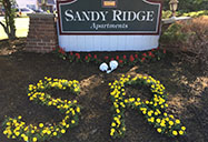 Sandy Ridge Image Gallery